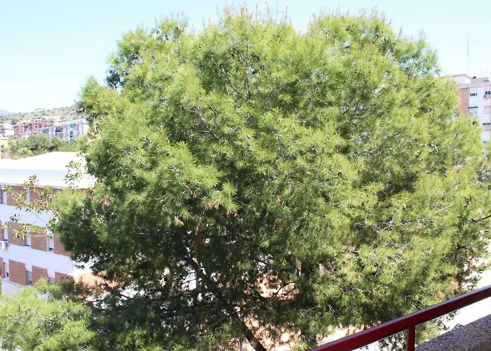 Apartamento Con Parking Gratuito